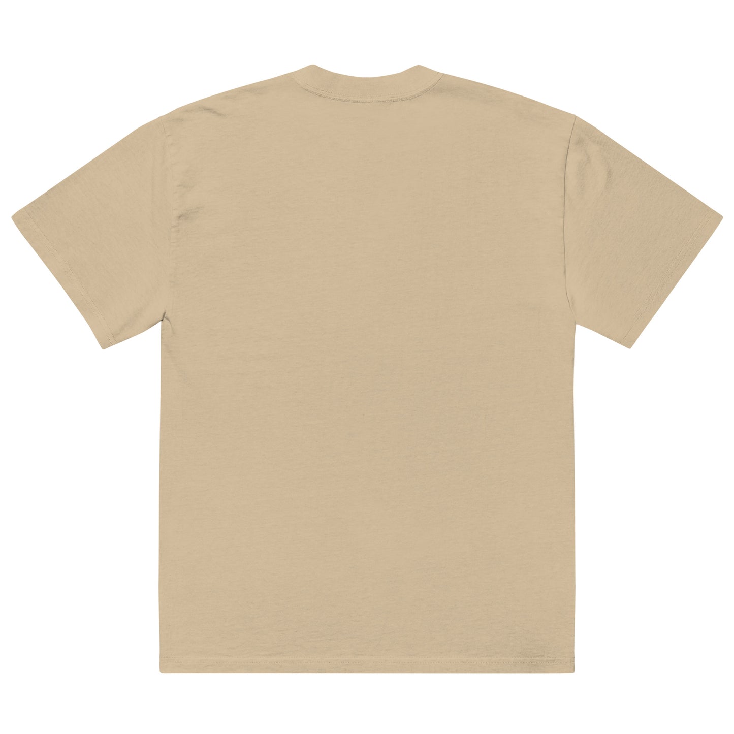 Oversized Echo Faded T-shirt